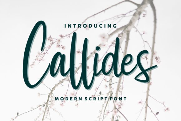 Callides Script: A Sweet Calligraphy Typeface for Luxury Design
