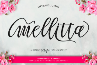 Mellitta Script: Beyond the Handwritten Font